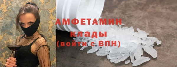 прущие грибы Заволжск