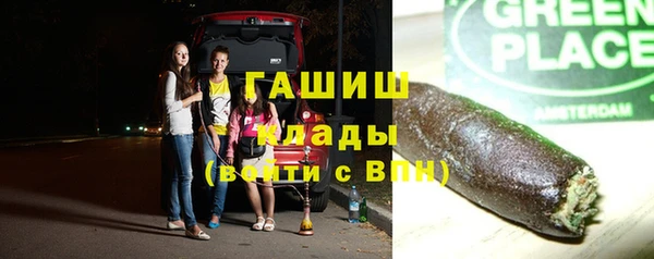 прущие грибы Заволжск