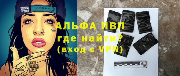 прущие грибы Заволжск