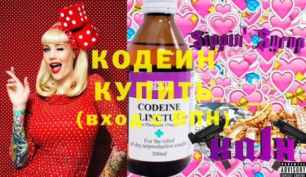прущие грибы Заволжск