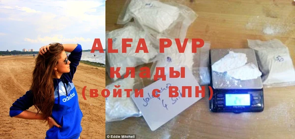 прущие грибы Заволжск