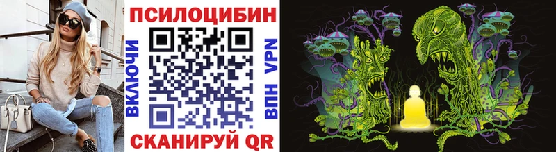 закладка  Нерчинск  hydra сайт  Галлюциногенные грибы MAGIC MUSHROOMS 